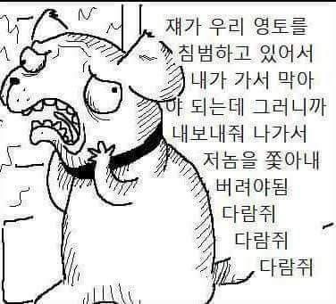 강아지 공감 | 인스티즈
