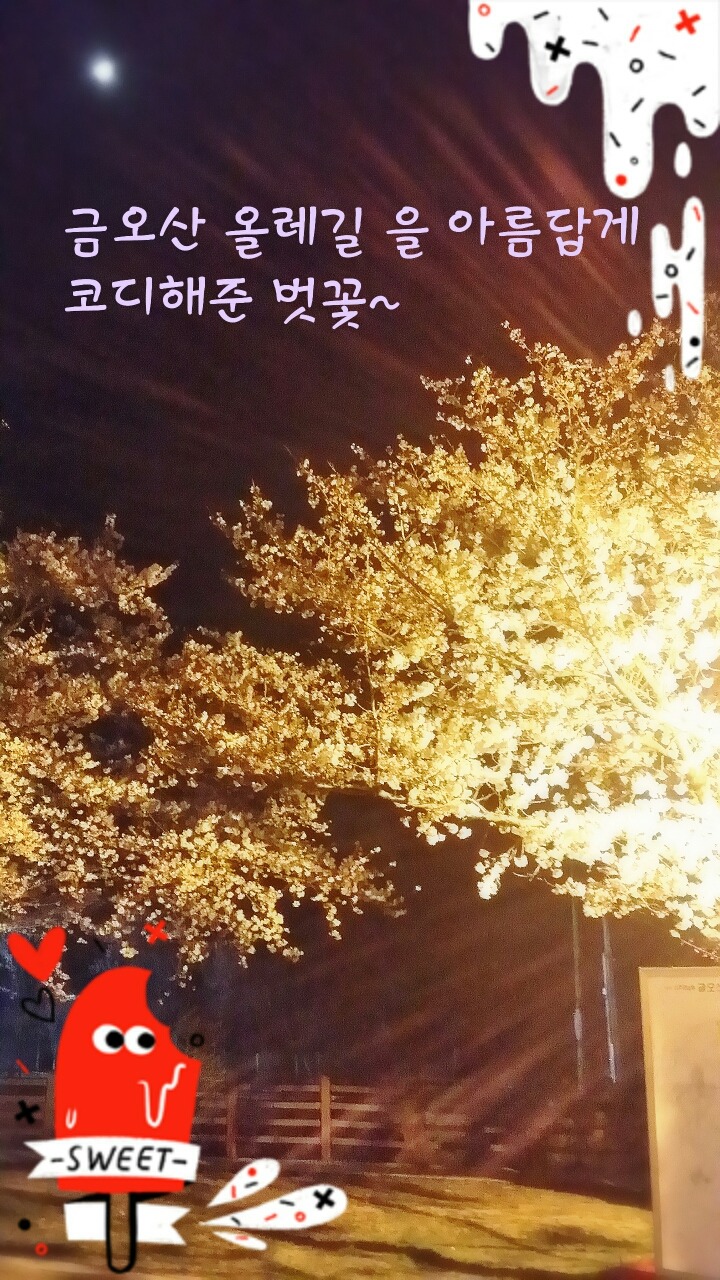 힐링비채아 이미지