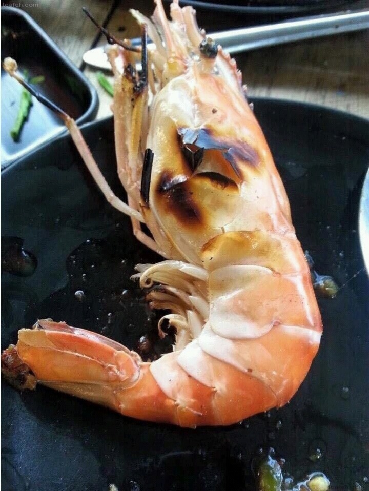 13000원짜리 태국 시푸드 뷔패 ..... | 인스티즈