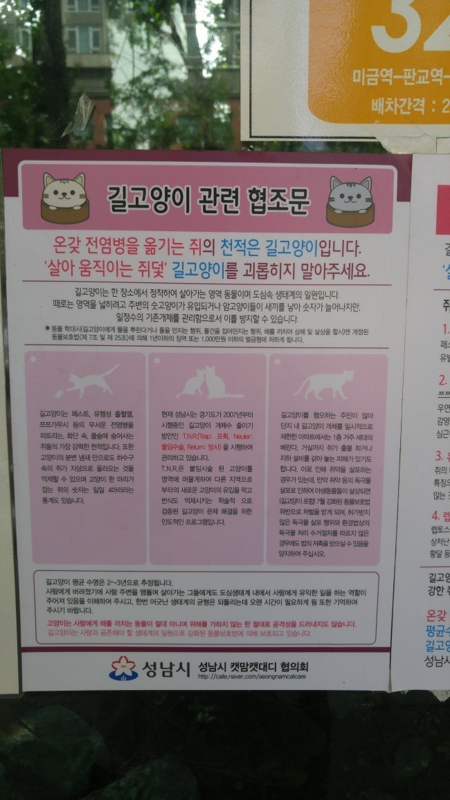 길고양이가 중요한 이유.jpg | 인스티즈