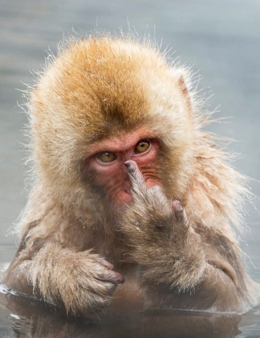 오륜문구 이미지