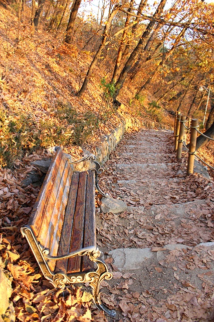 봉의산가는길 이미지