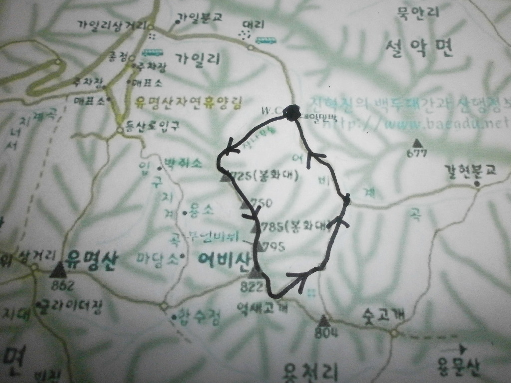 대일민박 이미지