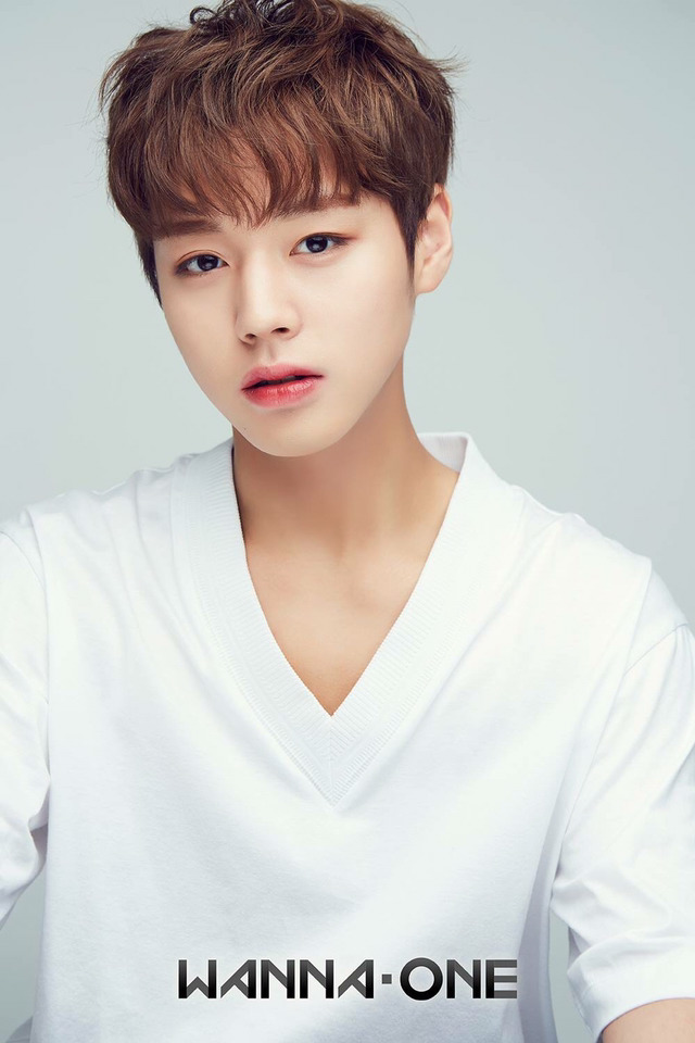 하네 이미지