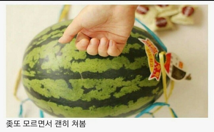 수박 살 때 공감 | 인스티즈