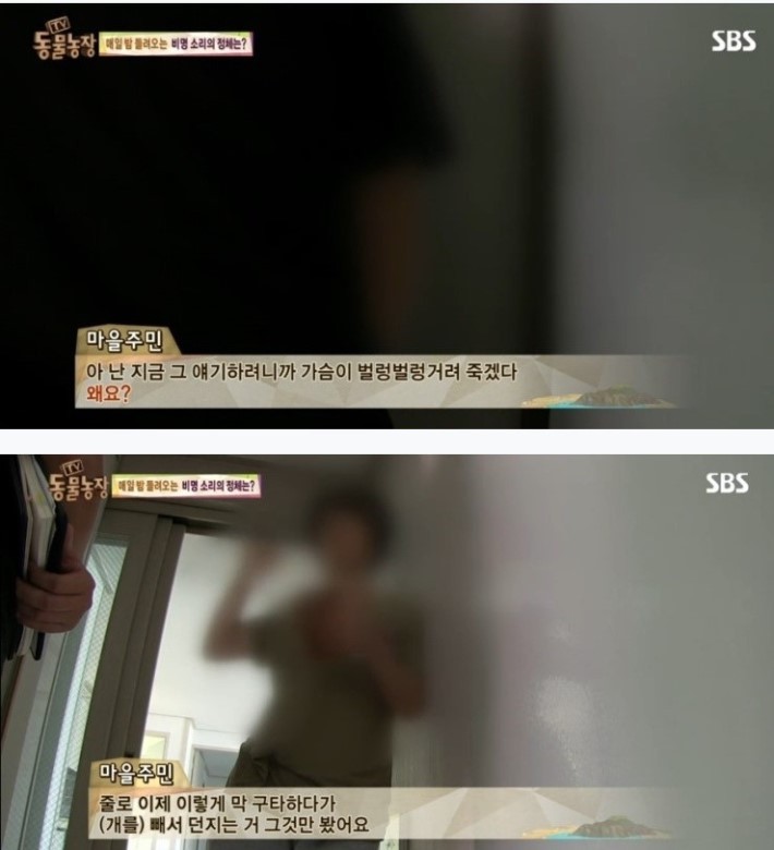 이유없는 강아지 학대 | 인스티즈