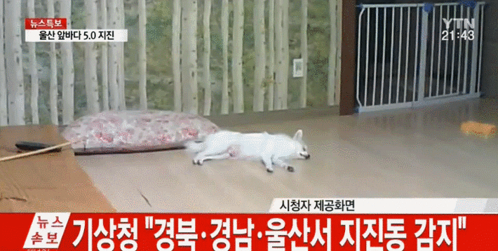 그동안 엄선해서 저장해온 지구뿌셔짤(1).jpggif (데이터주의) | 인스티즈