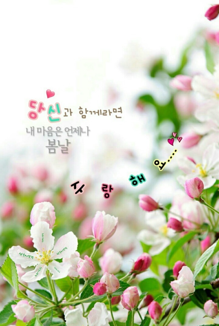 행복한 하루 이미지