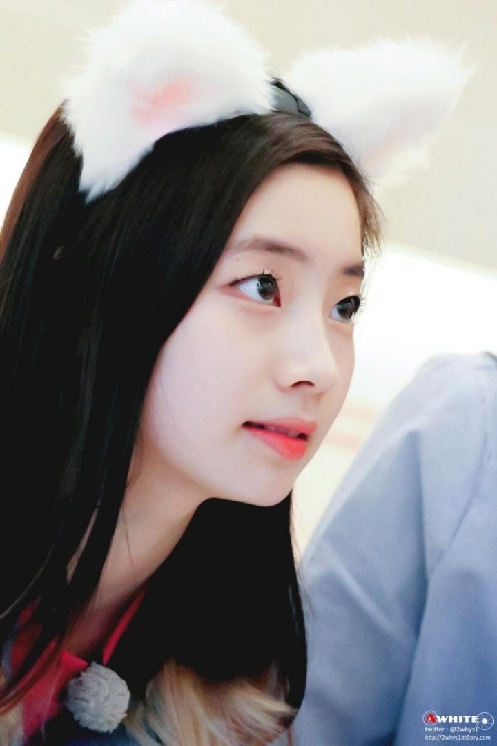 락4를 잃을 수 없어서 흥두부 | 인스티즈