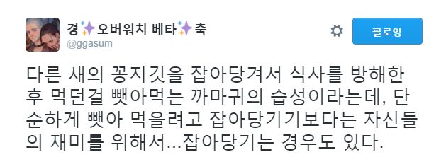 누가 새래~! | 인스티즈