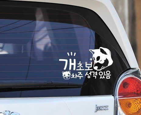 왜 붙이는지 이해못하는... 보면 어쩌라고가 자동으로 떠오르는것들 | 인스티즈