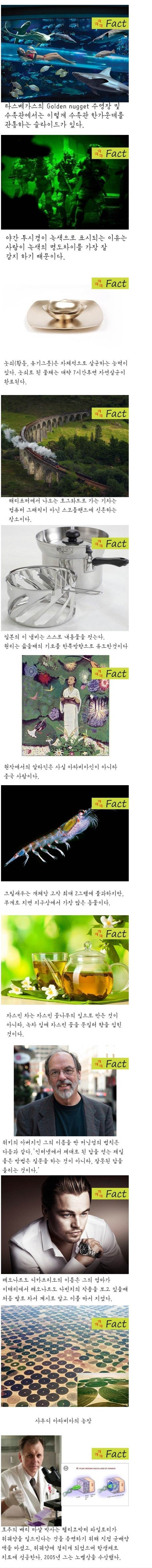 재미있는 팩트 | 인스티즈