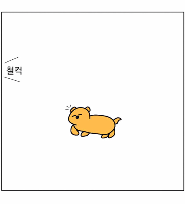 강아지가 우리 곁을 떠날 때 | 인스티즈
