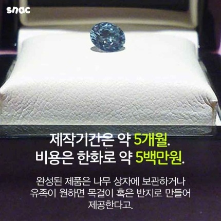  고인의 유골로 만든 다이아몬드 | 인스티즈