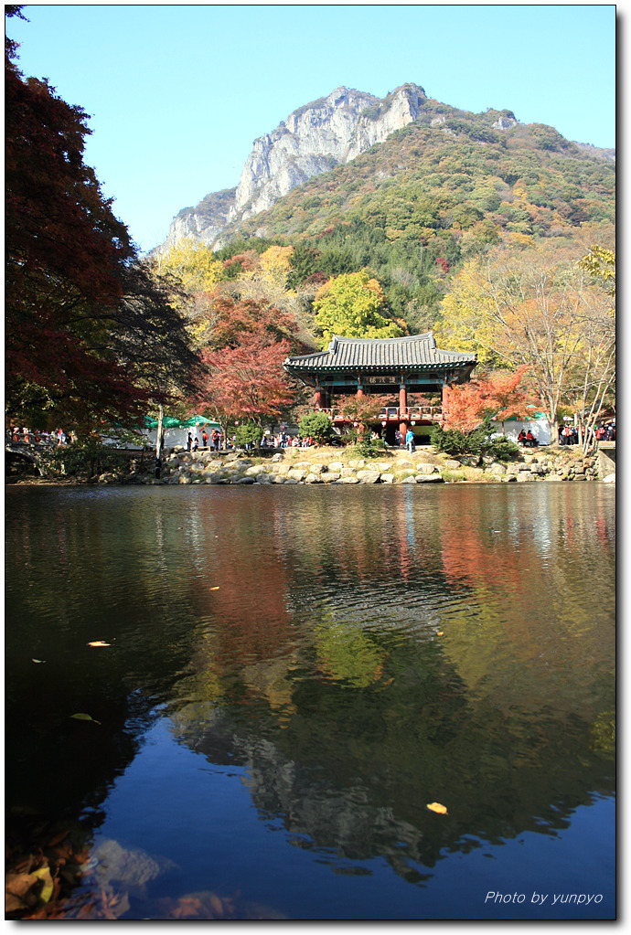 야호 이미지