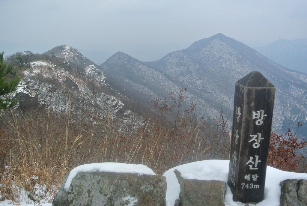 코아항공여행사 이미지