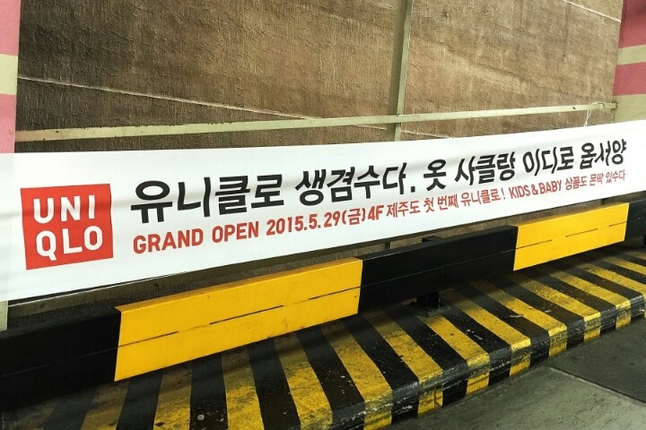 감귤국의 유니클로.jpg | 인스티즈