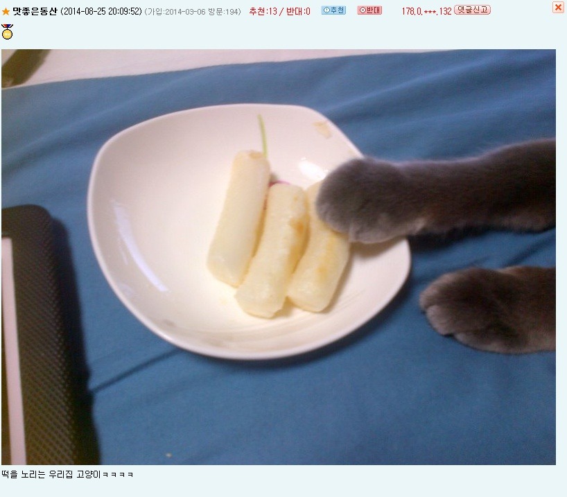 오유 이미지
