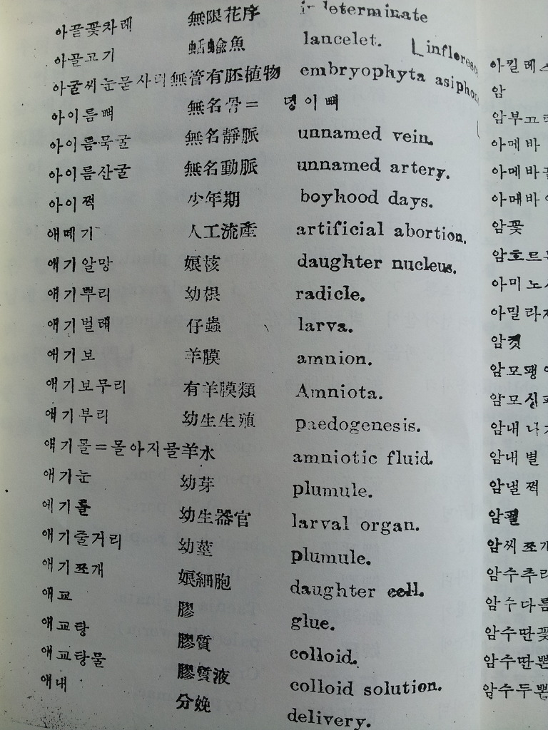 황금룡 이미지