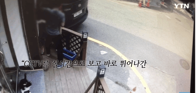 혐오,분노주의)고양이 잔혹하게 내던져 죽이고는 '웃으며 도망쳤다' | 인스티즈