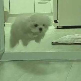 공감 이미지