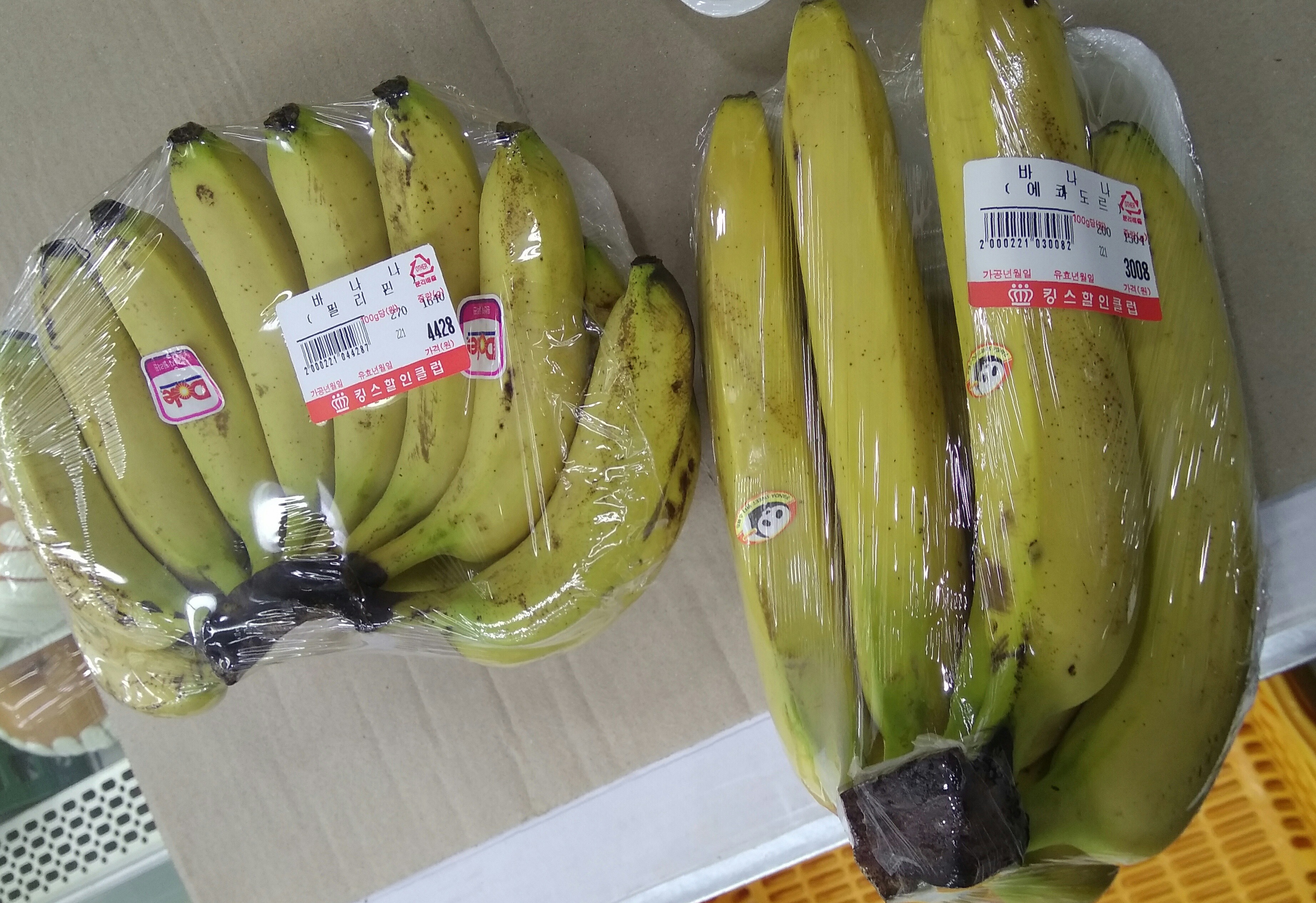필리핀바나나와 에콰도르바나나의 차이점 | 인스티즈