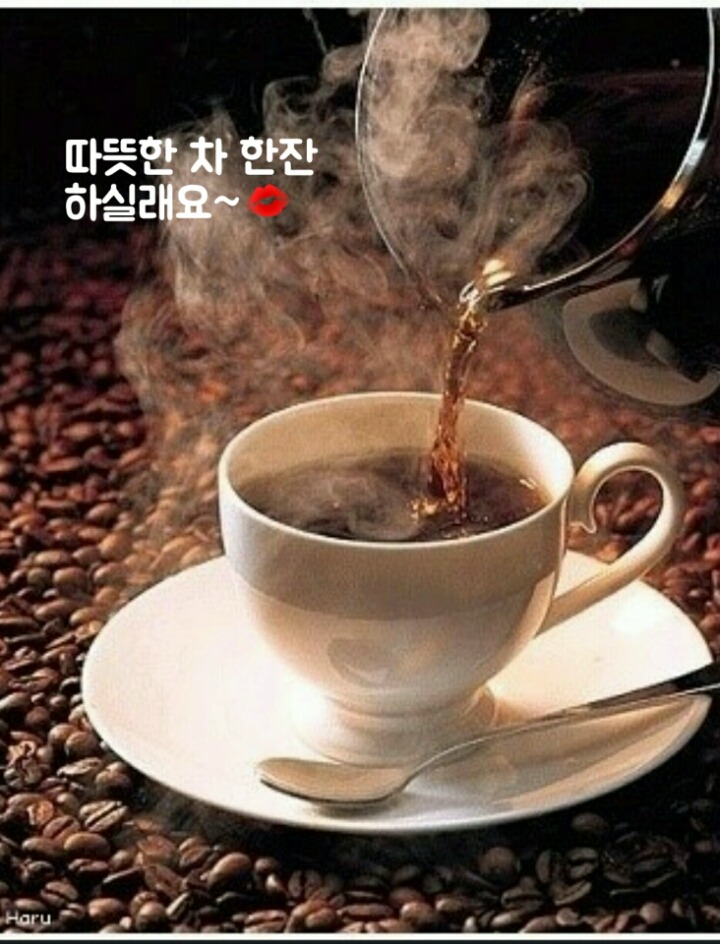 십이월 이미지