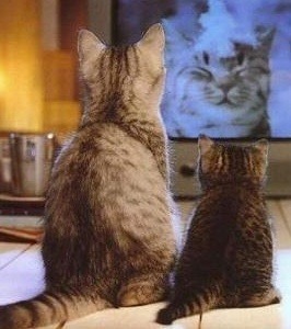 뒷모습 ㄷㄷㄷㄷㄷㄷ | 인스티즈