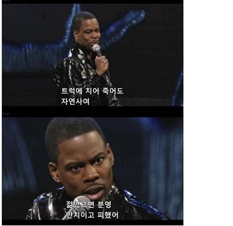 자연사 이미지