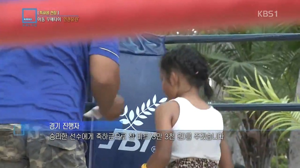 아동 무에타이 경기의 추악한 진실 | 인스티즈
