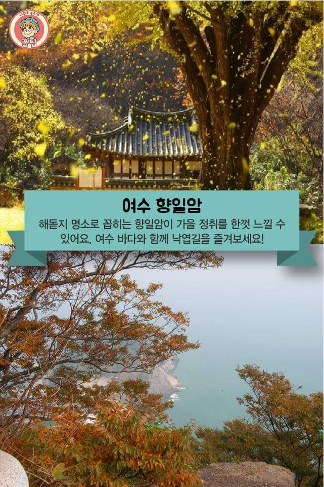전국의 가을 단풍 여행지 추천 8곳 | 인스티즈