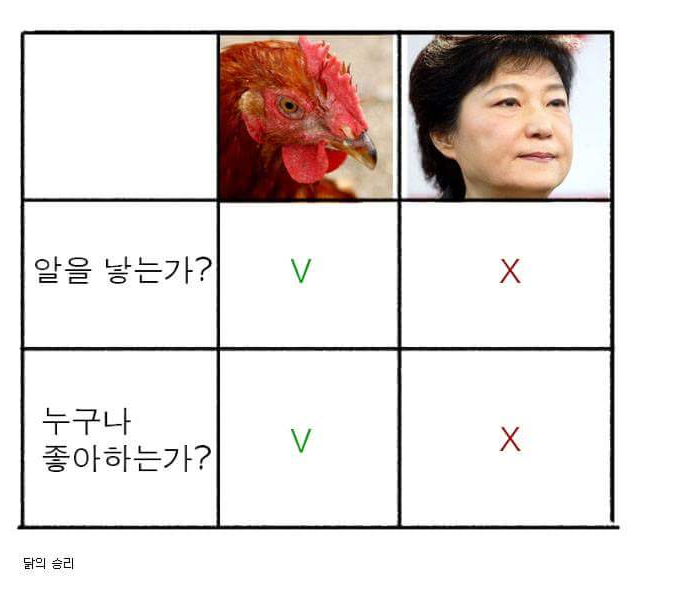 대통령한테 닭이라고 부르지마라 | 인스티즈