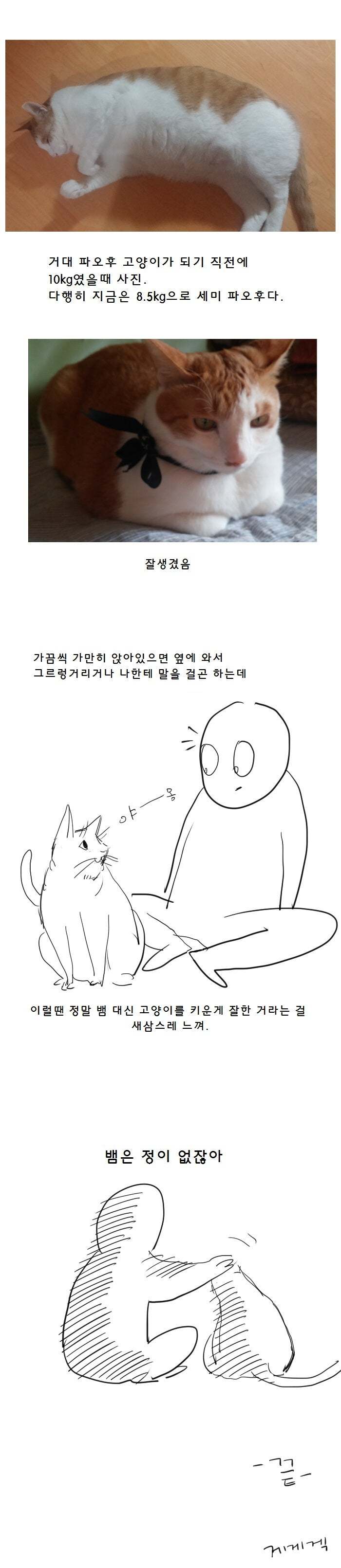 DC 냥갤의 고양이 웹툰 | 인스티즈