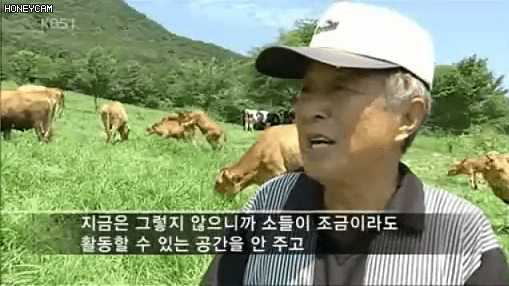다시보는 전설의 소토바이.gif | 인스티즈