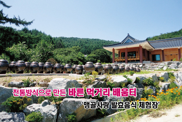 맹골사랑 이미지