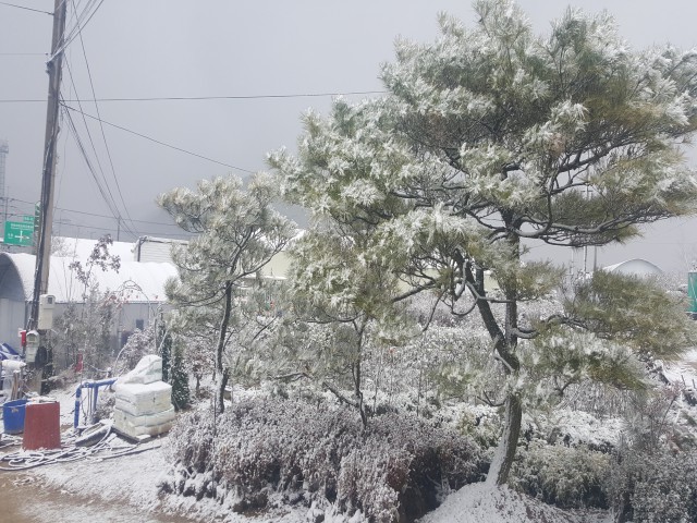 대림농원 이미지