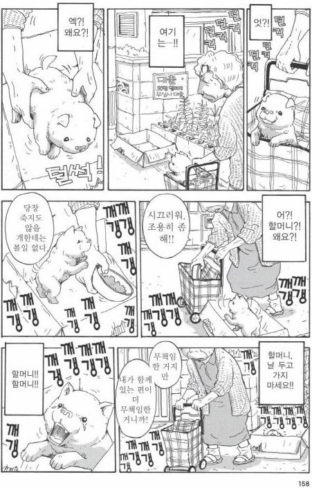 개를 주워 오면 안되는 이유 | 인스티즈