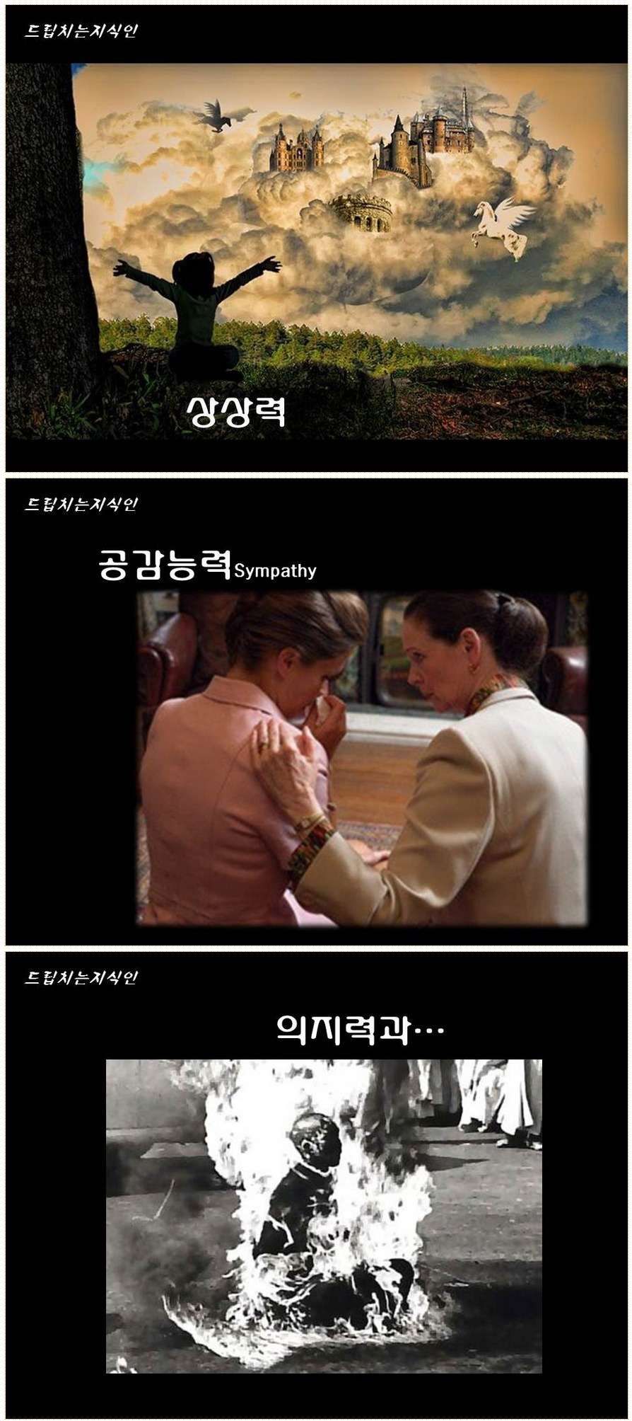  어마어마한 일들을 하고 있는 첨단 뇌공학 | 인스티즈