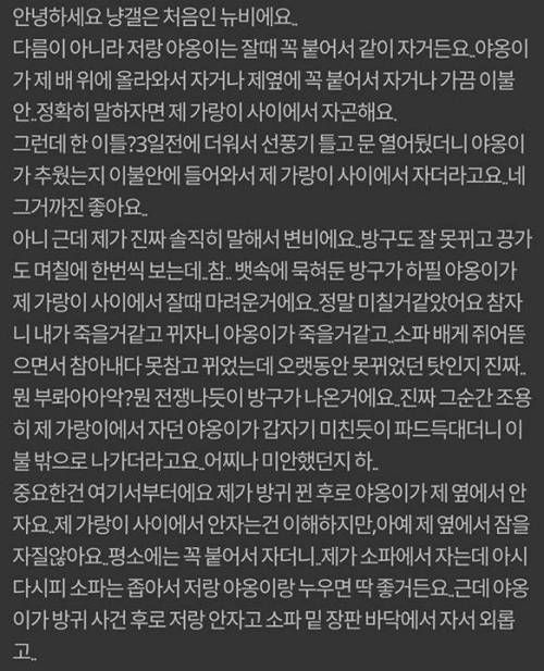 자다가 방구 꼈는데 그 후로 고양이가 저랑 같이 안자요 | 인스티즈
