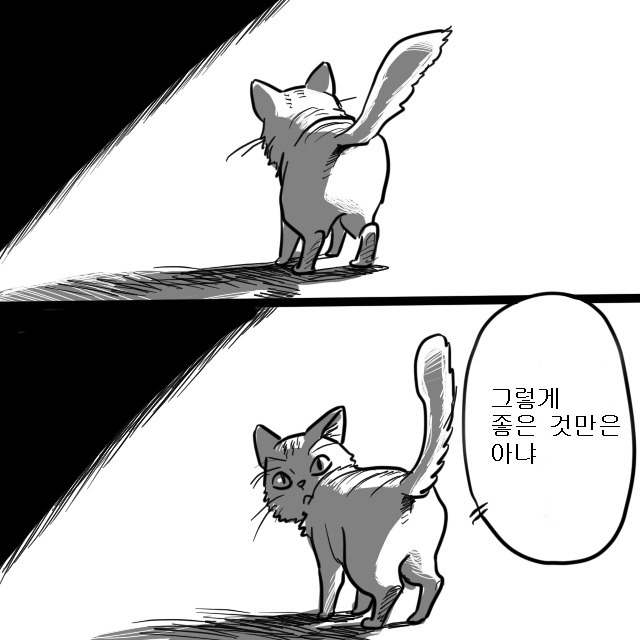 공포만화] 고양이의 눈 | 인스티즈