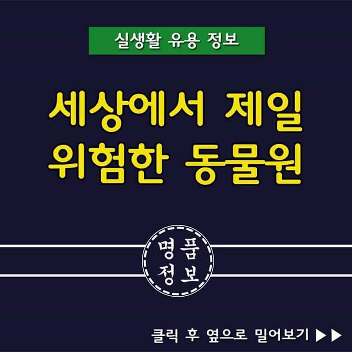 위험한 동물원 | 인스티즈