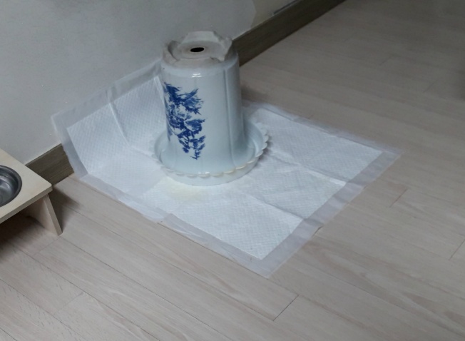 뷰토 이미지