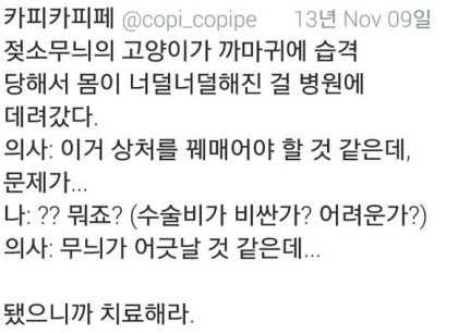 이 수의사분 최소 정리정돈주의자 | 인스티즈