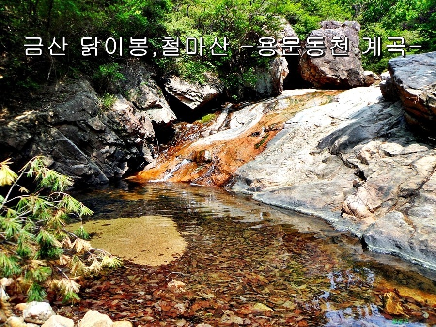 닭이봉 이미지
