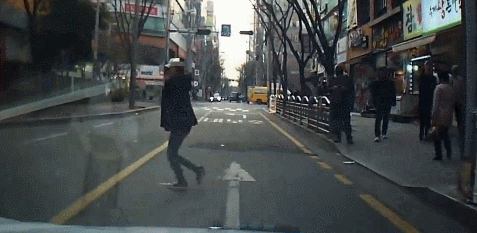 정신나간 고라니 가족들 | 인스티즈