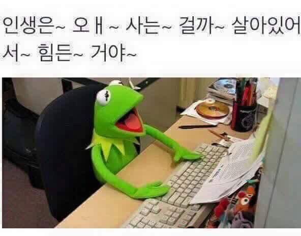 부모님이 카톡 프사 바꾸라고 권유하실 st 의 짤들.jpg | 인스티즈
