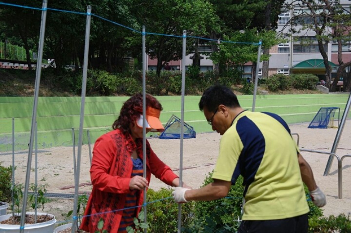 백석초등학교 이미지