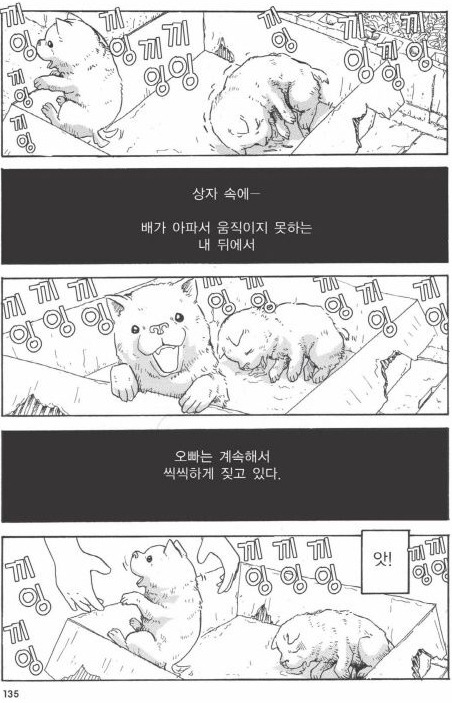 개를 주워 오면 안되는 이유 | 인스티즈