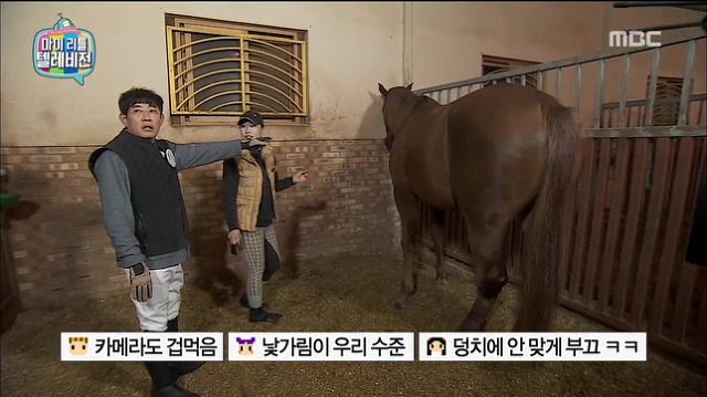 수줍어 하는게 귀여운 말 | 인스티즈