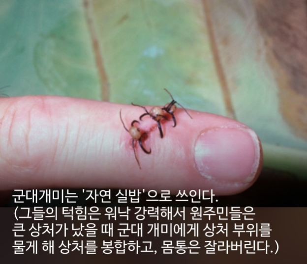 우리가 몰랐단 16가지 | 인스티즈